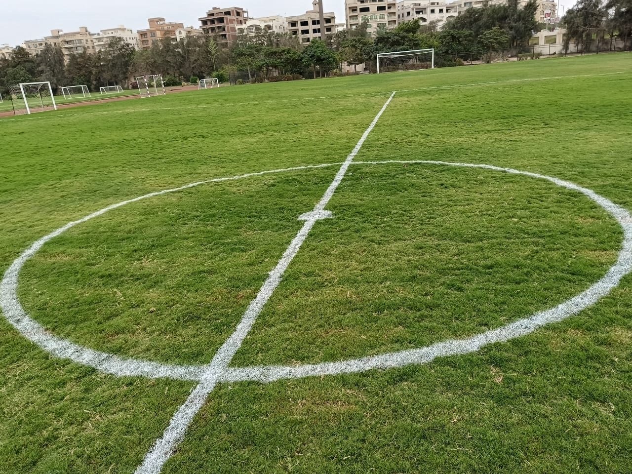 WhatsApp Image 2023-10-07 at 4.43.55 PM