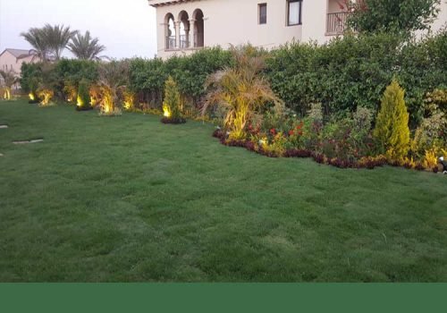 al-andalos-agricultural-co-photo_144674-_2023_sh_10_1138